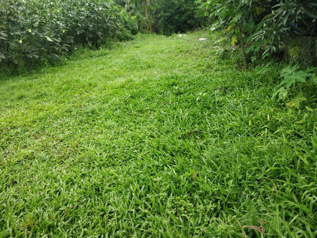 Kulswami Cottage Alibag Luaran gambar